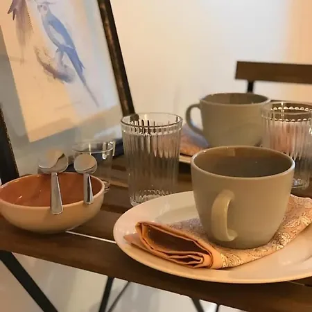 アパート T1 In The Historical Centre クレルモン・フェラン