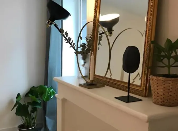 T1 In The Historical Centre * Clermont-Ferrand